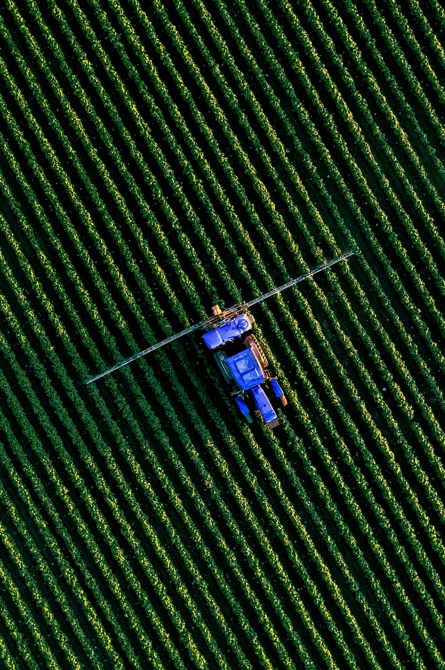 marios-gkortsilas-hGzbN1vy_CA-unsplash (3)